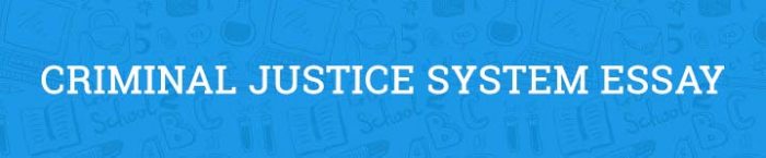 essay-on-criminal-justice-system-program-analysis-and-policy